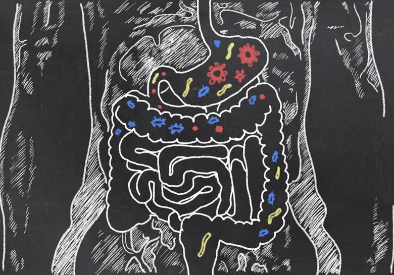 digestive whiteboard